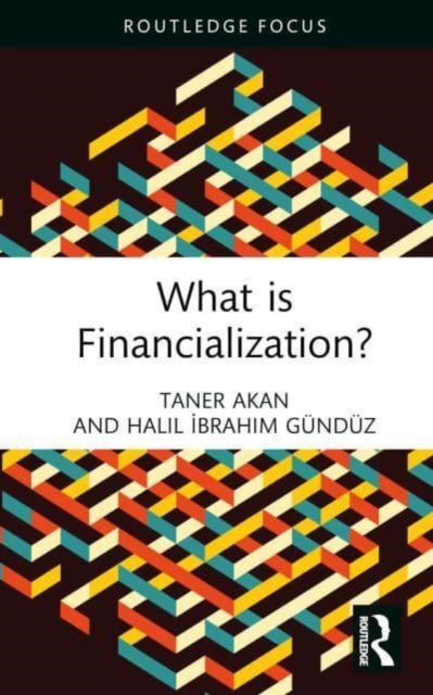 What is Financialization?, Hardback Book