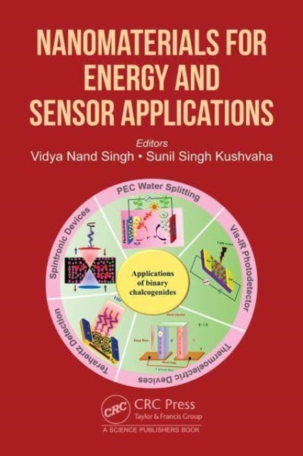 Nanomaterials for Energy and Sensor Applications, Hardback Book