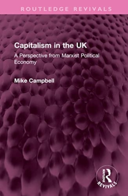 Capitalism in the UK : A Perspective from Marxist Political Economy, Hardback Book