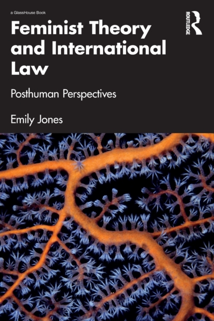 Feminist Theory and International Law : Posthuman Perspectives, Paperback / softback Book