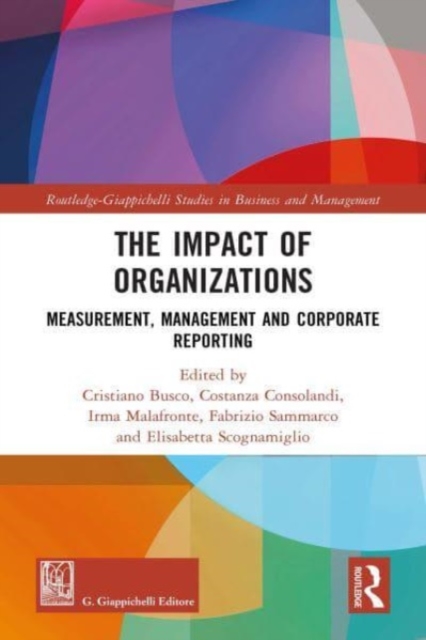The Impact of Organizations : Measurement, Management and Corporate Reporting, Hardback Book