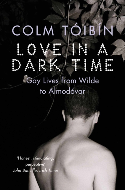 Love in a Dark Time : Gay Lives from Wilde to Almodovar, EPUB eBook