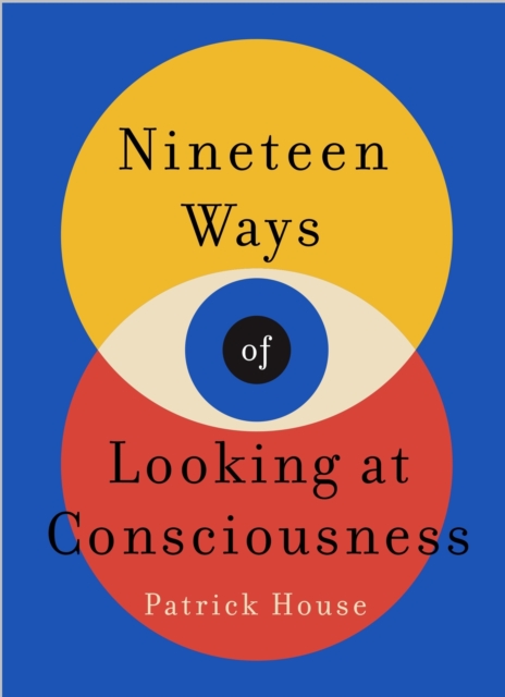 Nineteen Ways of Looking at Consciousness : Our leading theories of how your brain really works, Paperback / softback Book