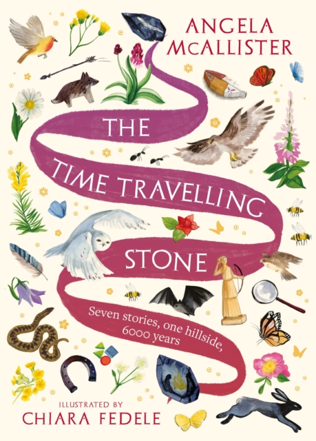 The Time Travelling Stone : Seven stories, one hillside, 6000 years, EPUB eBook