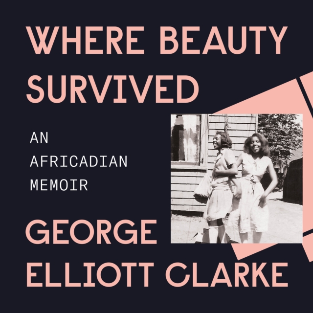 Where Beauty Survived, eAudiobook MP3 eaudioBook