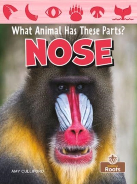 Nose, Paperback / softback Book
