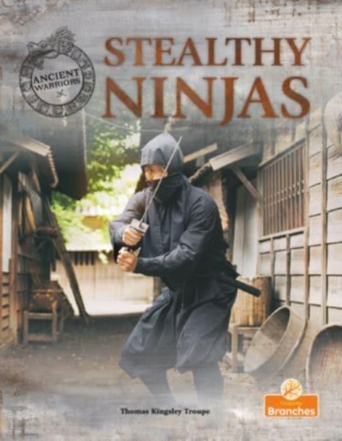 Stealthy Ninjas, Paperback / softback Book