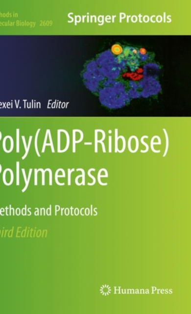 Poly(ADP-Ribose) Polymerase : Methods and Protocols, Paperback / softback Book