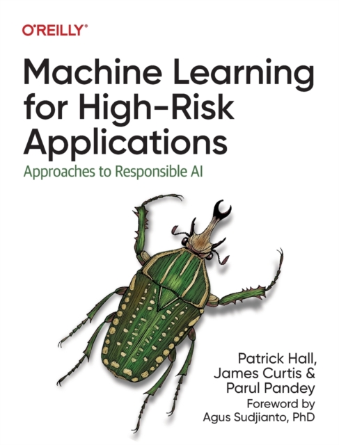 Machine Learning for High-Risk Applications : Approaches to Responsible AI, Paperback / softback Book