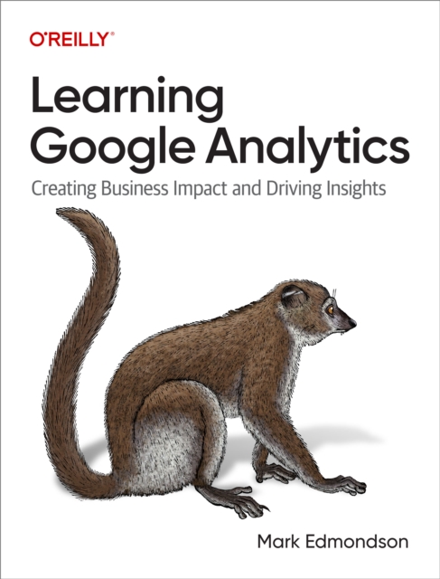 Learning Google Analytics, PDF eBook