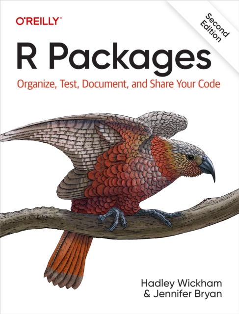 R Packages, EPUB eBook