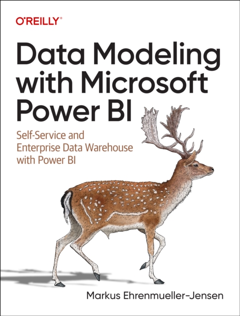 Data Modeling with Microsoft Power BI, Paperback / softback Book