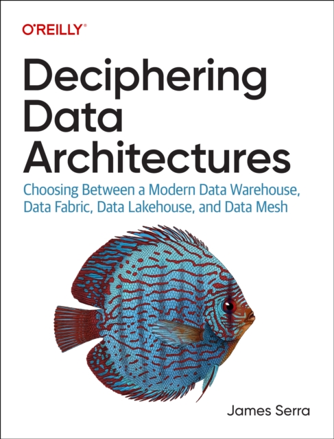 Deciphering Data Architectures : Choosing Between a Modern Data Warehouse, Data Fabric, Data Lakehouse, and Data Mesh, Paperback / softback Book