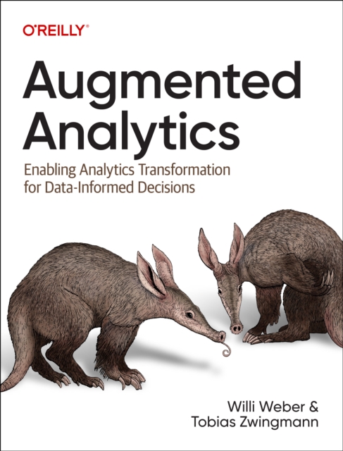 Augmented Analytics : Enabling Analytics Transformation for Data-Informed Decisions, Paperback / softback Book