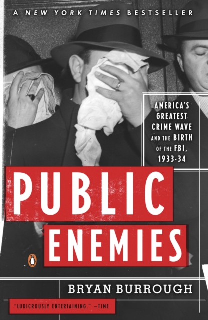 Public Enemies, EPUB eBook