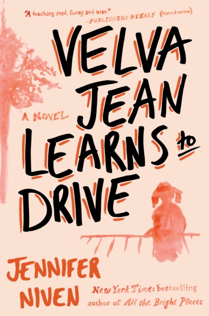 Velva Jean Learns to Drive, EPUB eBook