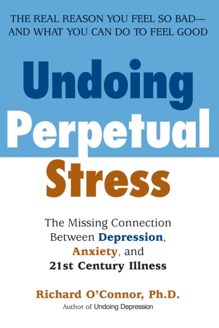 Undoing Perpetual Stress, EPUB eBook