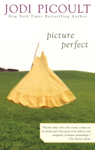 Picture Perfect, EPUB eBook