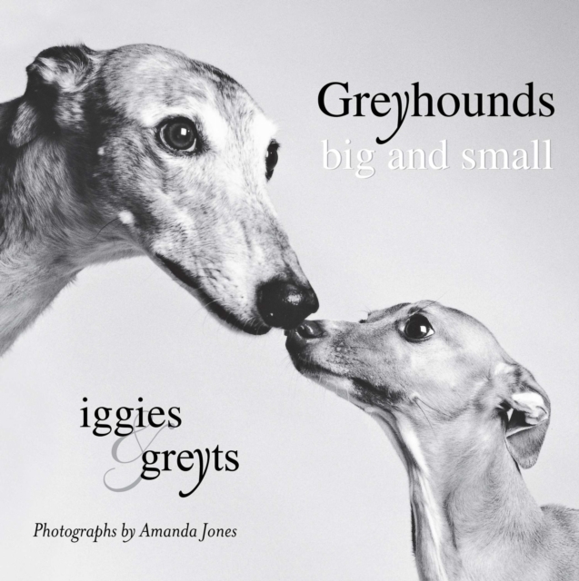 Greyhounds Big and Small, EPUB eBook