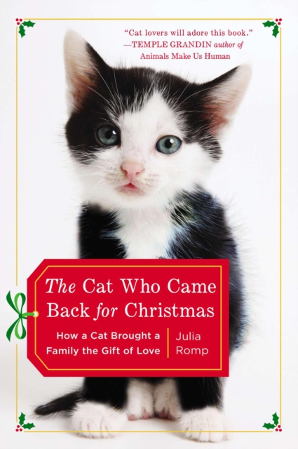 Cat Who Came Back for Christmas, EPUB eBook