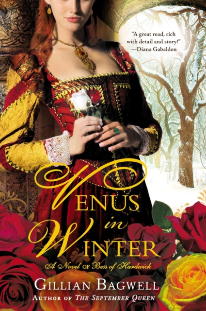 Venus in Winter, EPUB eBook