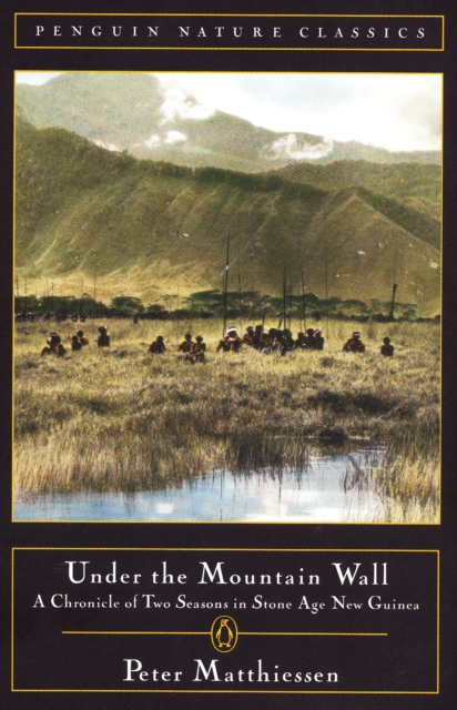 Under the Mountain Wall, EPUB eBook