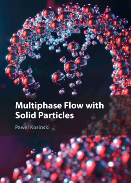 Multiphase Flow with Solid Particles, Hardback Book