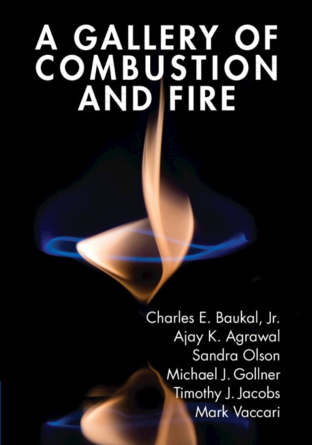 A Gallery of Combustion and Fire, Hardback Book