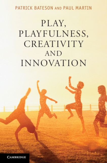 Play, Playfulness, Creativity and Innovation, PDF eBook