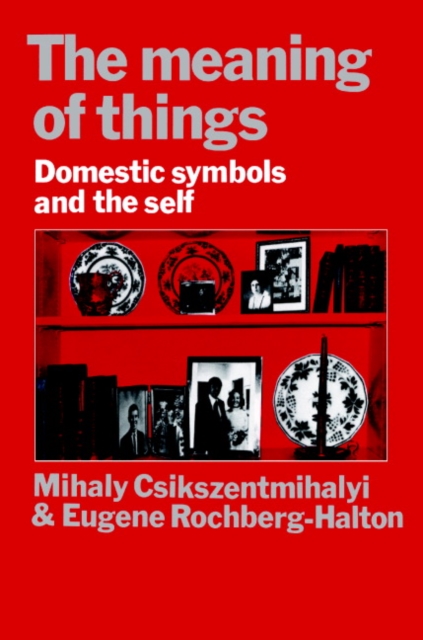 Meaning of Things : Domestic Symbols and the Self, EPUB eBook