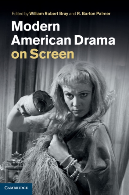 Modern American Drama on Screen, PDF eBook