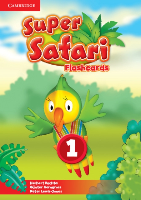 Super Safari Level 1 Flashcards (Pack of 40), Cards Book