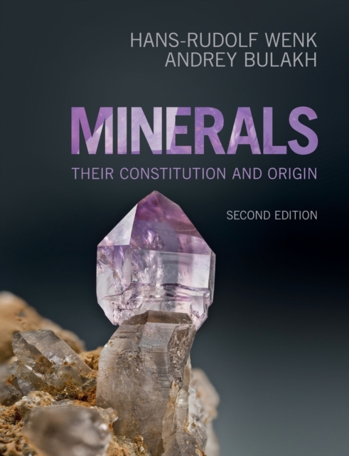 Minerals : Their Constitution and Origin, Paperback / softback Book