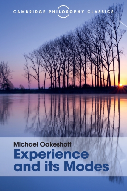 Experience and its Modes, Paperback / softback Book