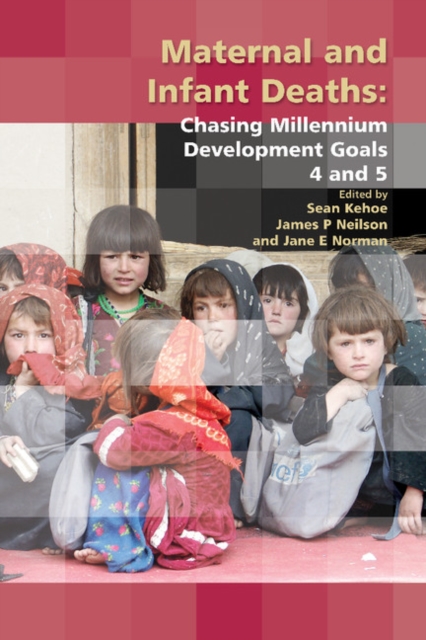 Maternal and Infant Deaths : Chasing Millennium Development Goals 4 and 5, PDF eBook