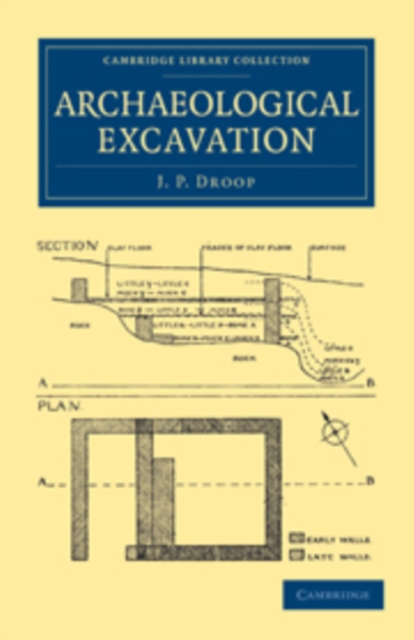 Archaeological Excavation, Paperback / softback Book