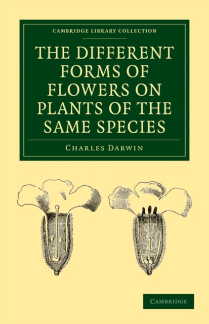 The Different Forms of Flowers on Plants of the Same Species, Paperback / softback Book