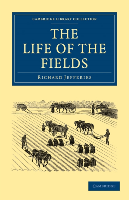 The Life of the Fields, Paperback / softback Book