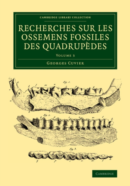 Recherches sur les ossemens fossiles des quadrupedes, Paperback / softback Book
