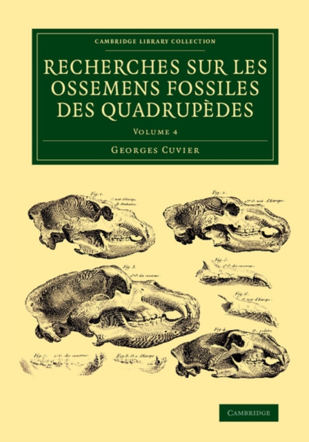 Recherches sur les ossemens fossiles des quadrupedes, Paperback / softback Book