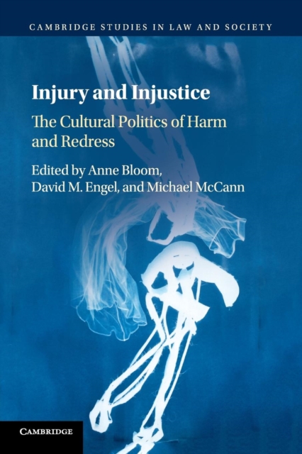 Injury and Injustice : The Cultural Politics of Harm and Redress, Paperback / softback Book