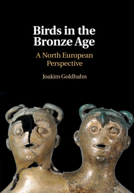 Birds in the Bronze Age : A North European Perspective, Hardback Book