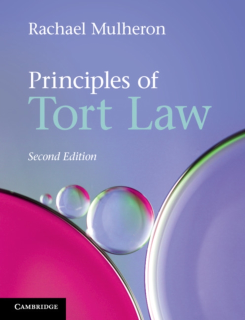 Principles of Tort Law, PDF eBook