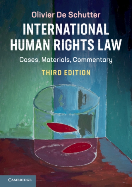 International Human Rights Law, EPUB eBook