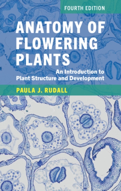 Anatomy of Flowering Plants : An Introduction to Plant Structure and Development, Paperback / softback Book
