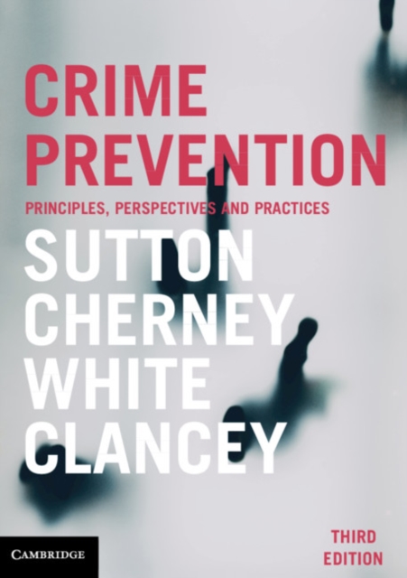 Crime Prevention : Principles, Perspectives and Practices, Paperback / softback Book