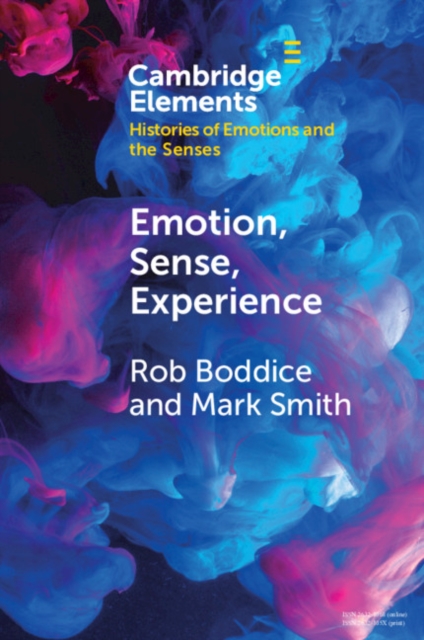 Emotion, Sense, Experience, EPUB eBook