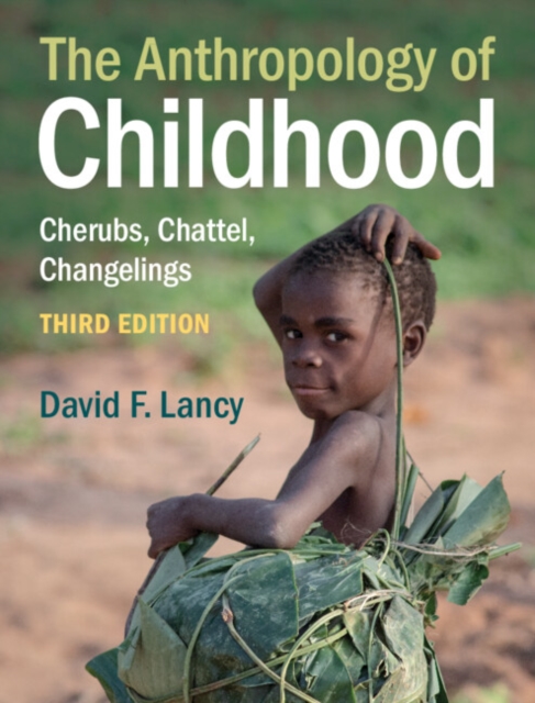 The Anthropology of Childhood : Cherubs, Chattel, Changelings, Paperback / softback Book
