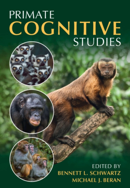 Primate Cognitive Studies, Paperback / softback Book