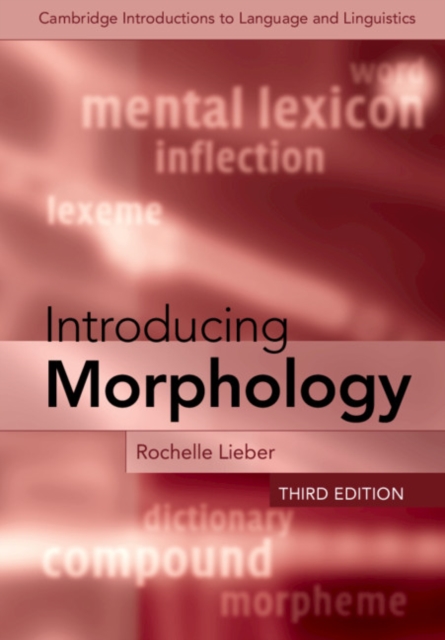 Introducing Morphology, Paperback / softback Book